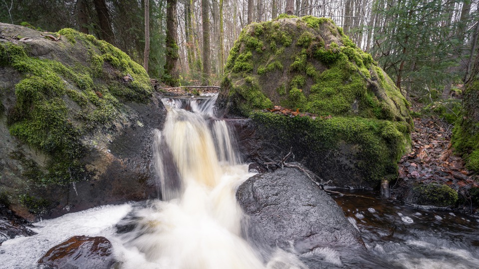 Vatten rinner ned från en liten bäck, ute i skogen.