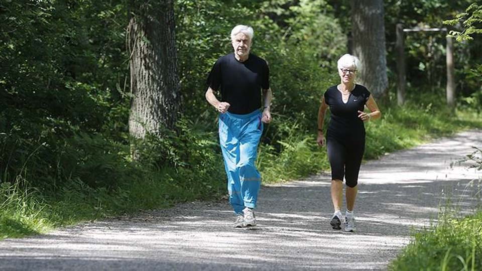 Två personer som är ute och går på en skogsväg sommartid. Foto: RF-SISU. 