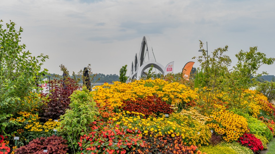 En stor turistskylt med vackra bilder står placerad mitt i en stor blommande sommarplantering.
