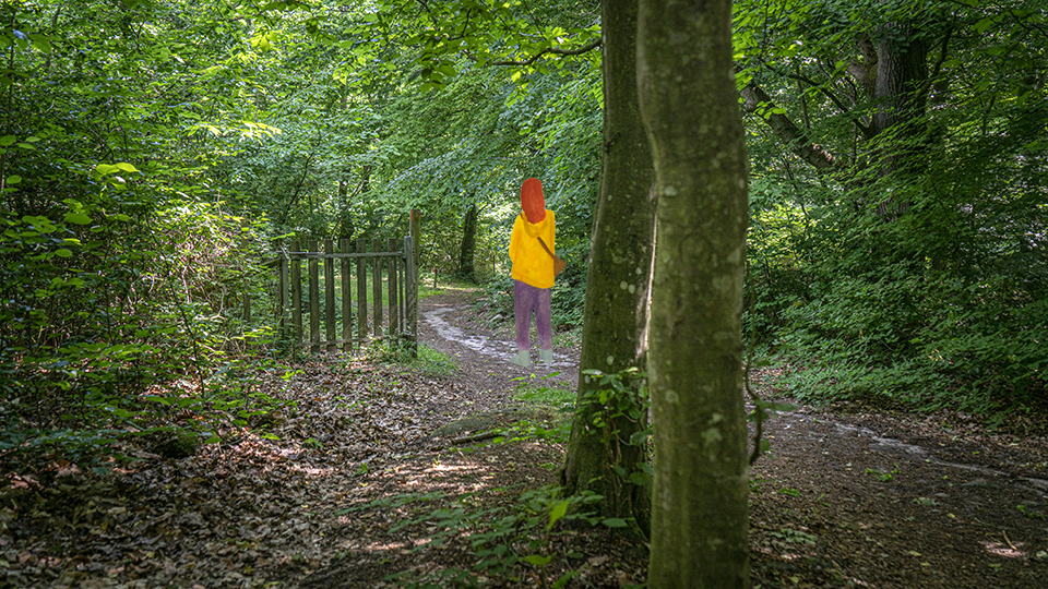 En person går en stig genom naturreservatet. 