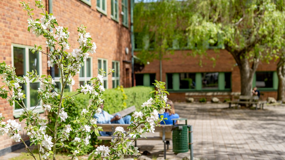 Glada studenter.