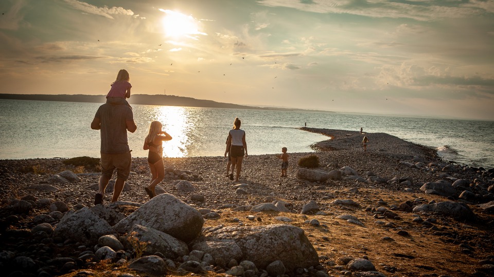 En familj vandrar en sensommarkväll i solnedgången på en ringlande formation av stenar, Bönsäcken på Hanö. 
