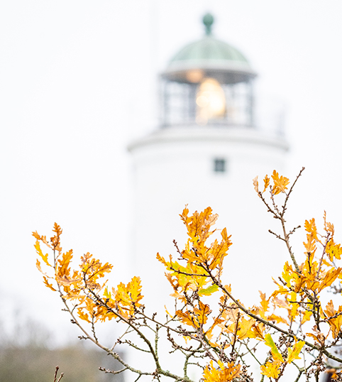 Lampan lyser från Hanö fyr en krispig höstdag, i förgrunden syns löv som färgats gula på träden.