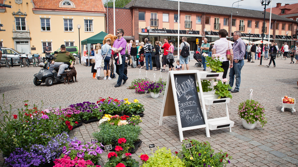 På stortorget i Sölvesborg säljs blommor på torghandel. 