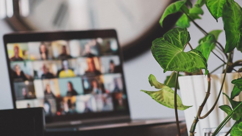 Grönt växt som står framför en datorskärm med pågående digitalt möte.